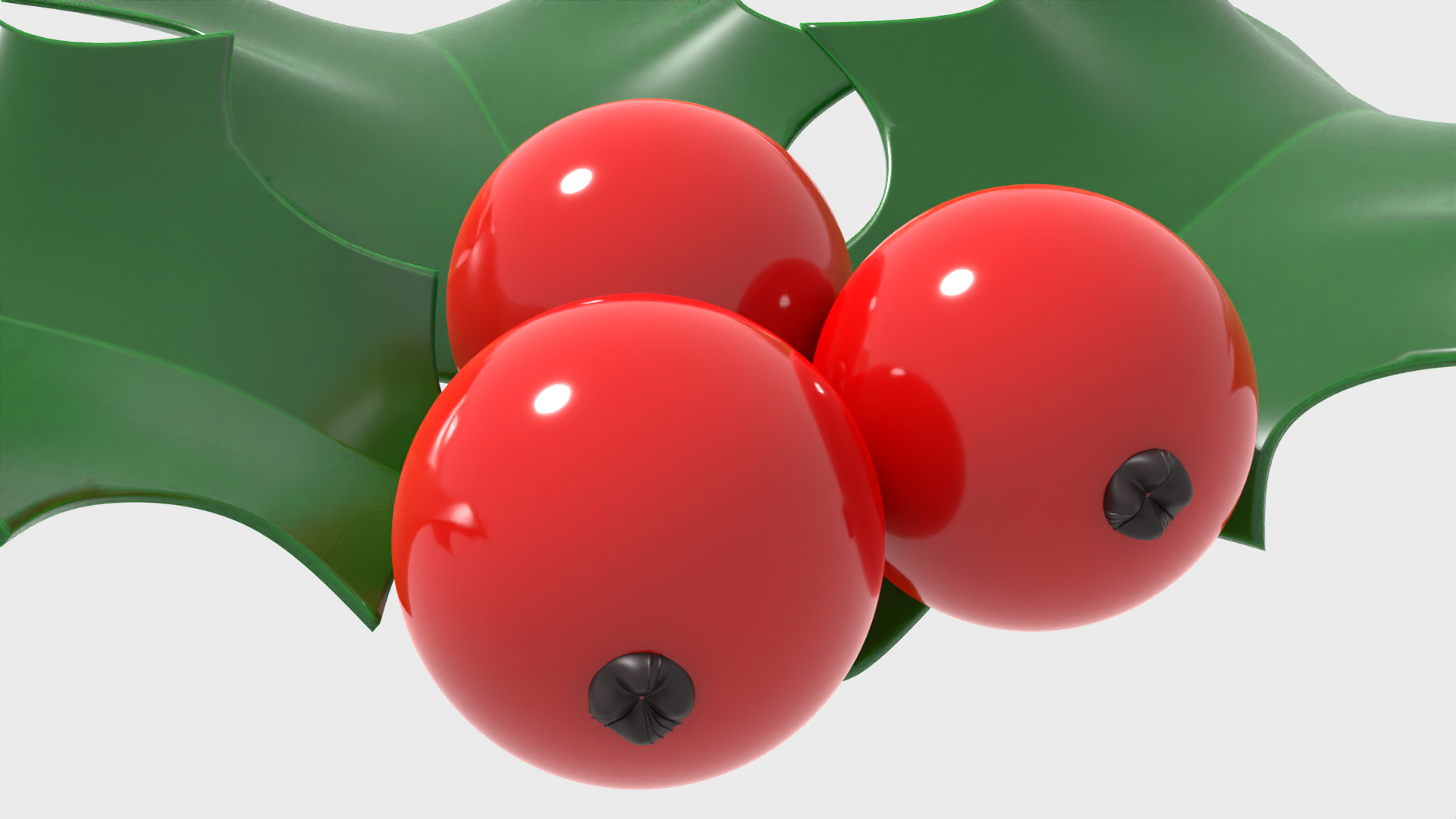 Holly Berry Leaves / XMas Plant / Christmas preview image 2